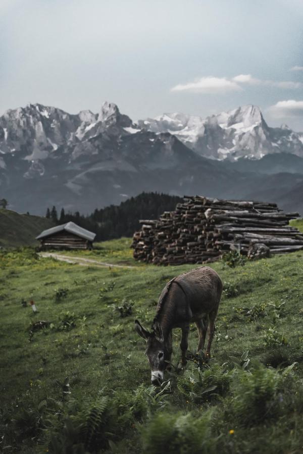 Gaestehaus Eder Sankt Martin am Tennengebirge Luaran gambar